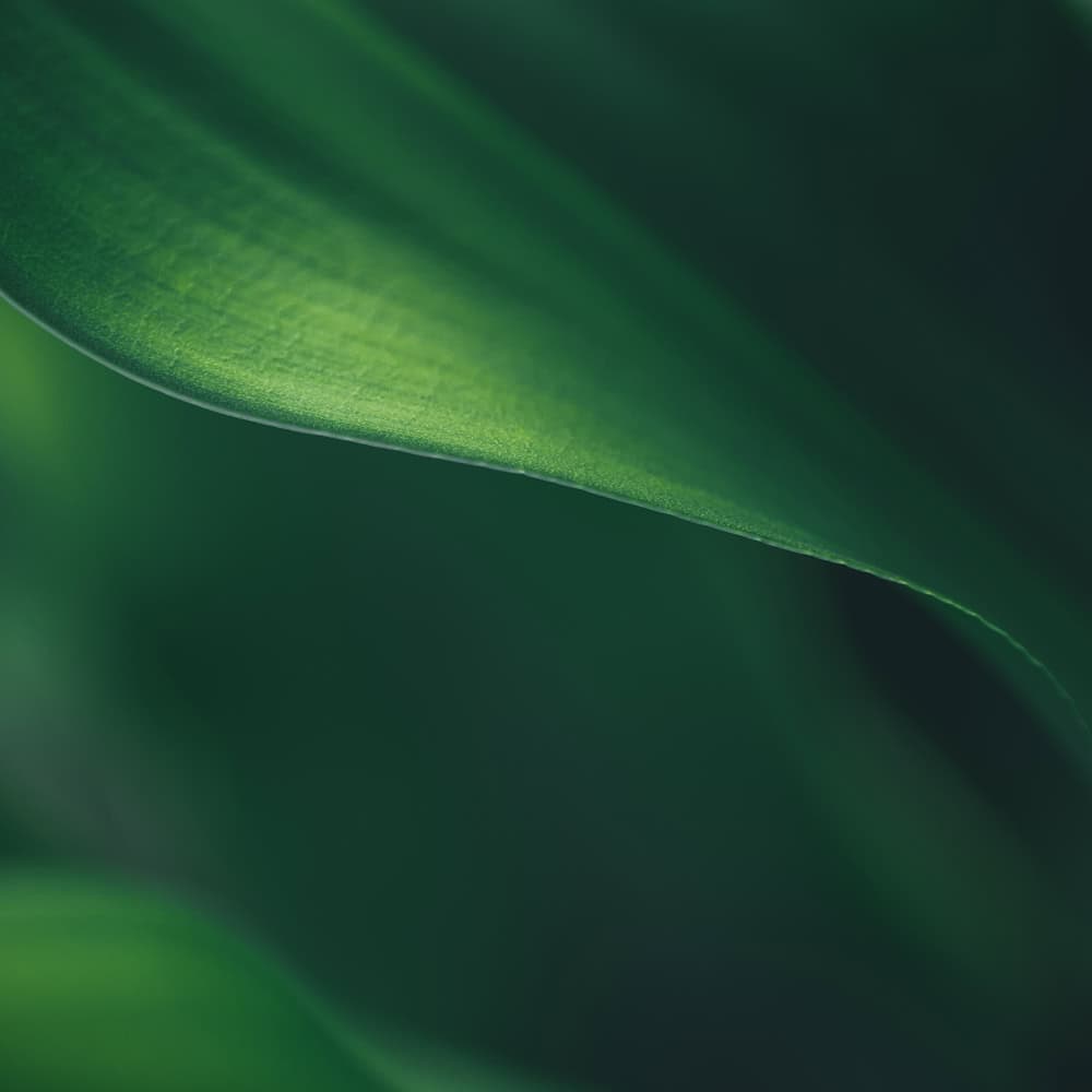 | Titan Wealth International 