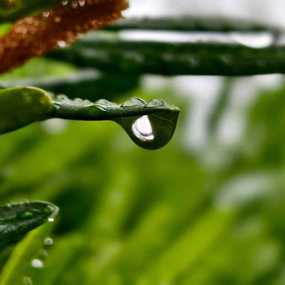 | Titan Wealth International 