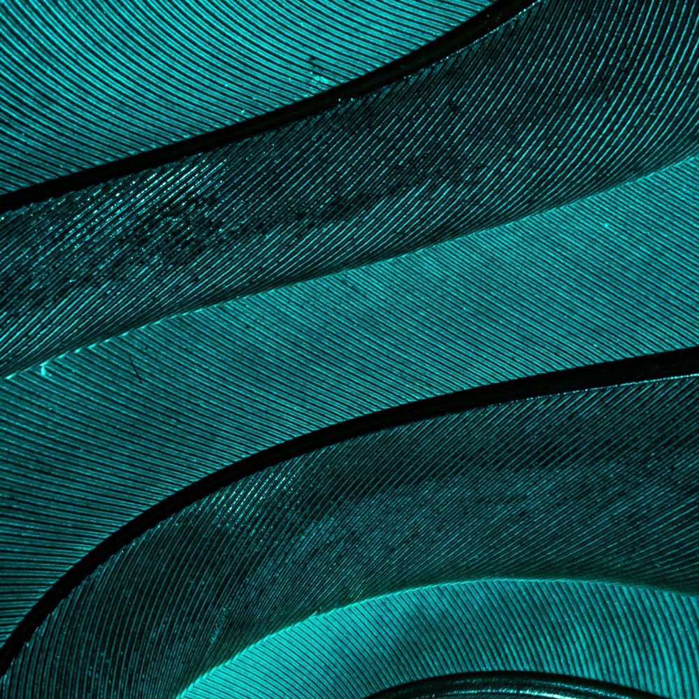 | Titan Wealth International 