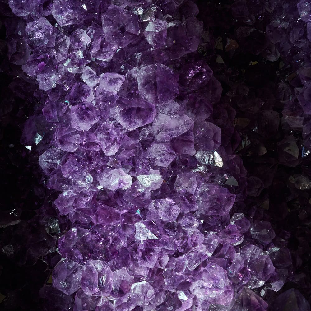 | Titan Wealth International 